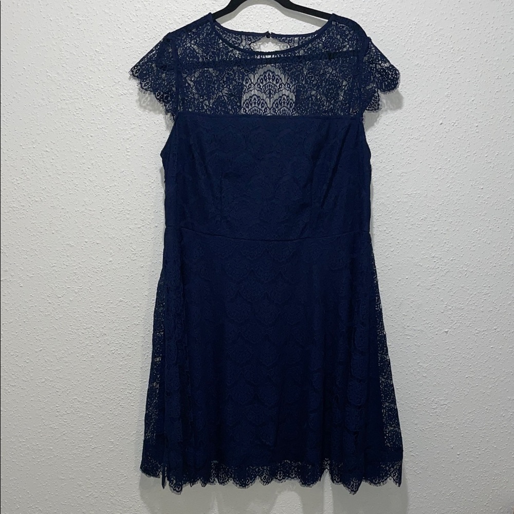 Eliza J Navy Lace Mini Dress